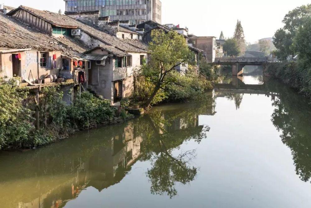 让“志愿红”成为沈城寒冬里一道最美的风景